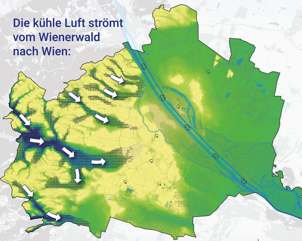Kaltluftkarte aus der Stadtklimaanalyse Wien von Weatherpark: Kaltluftströme aus dem Wienerwald